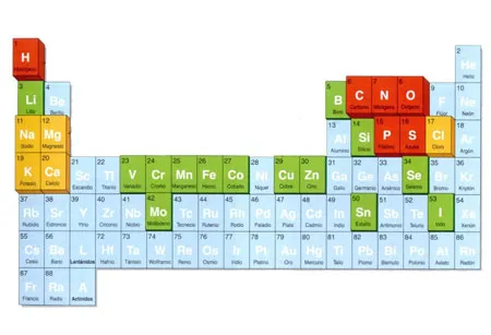 Bioelementos y biomoléculas inorgánicas