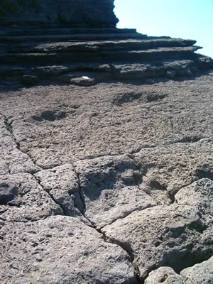 rastro de saurópodo en los acantilados de Lastres