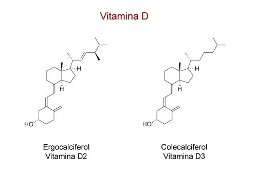 Estructura de la vitamina D