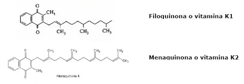 Estructura de la vitamina K