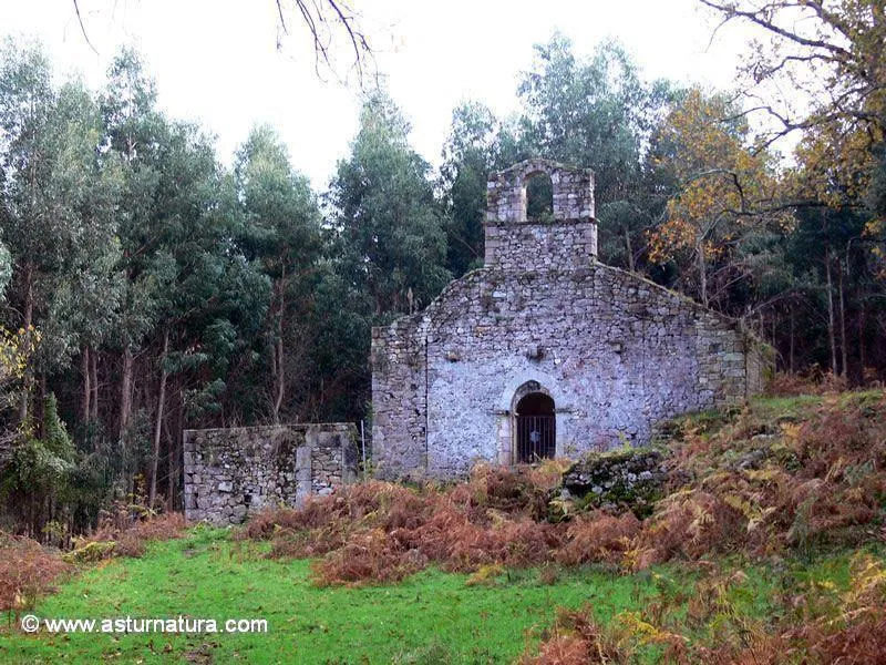 Ruinas del Monasterio de Tina