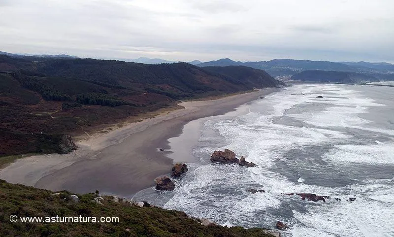 Isla La Deva y Playón de Bayas