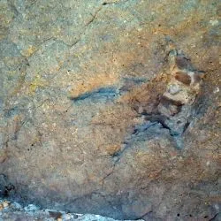 Yacimiento Jursico de la Playa de Ribadesella