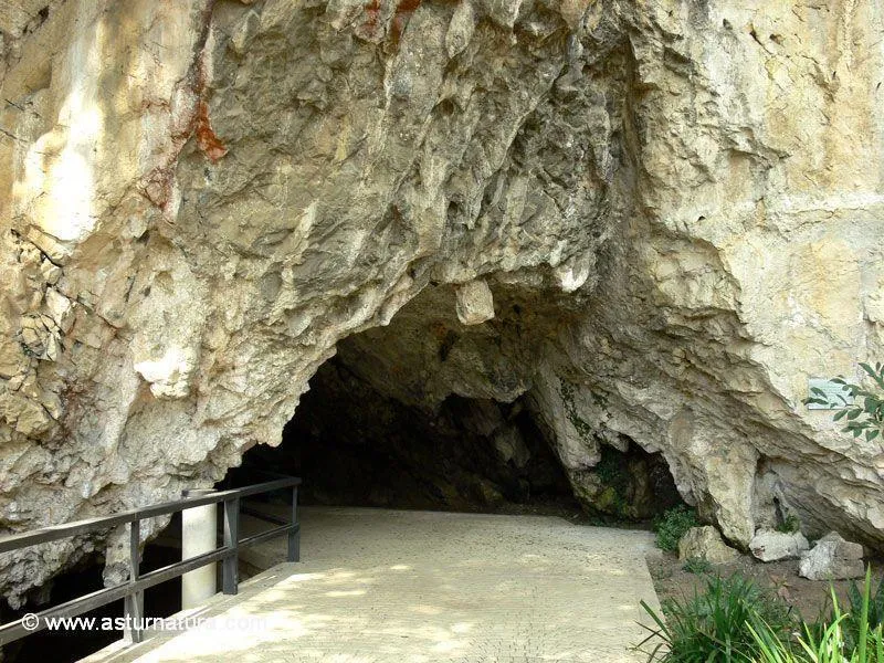 Cueva de Tito Bustillo