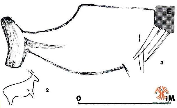 Figuras 2 y 3 del conjunto VII