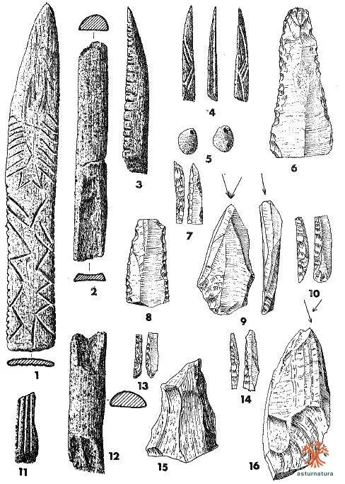 Material lítico y óseo encontrado en el yacimiento del panel principal