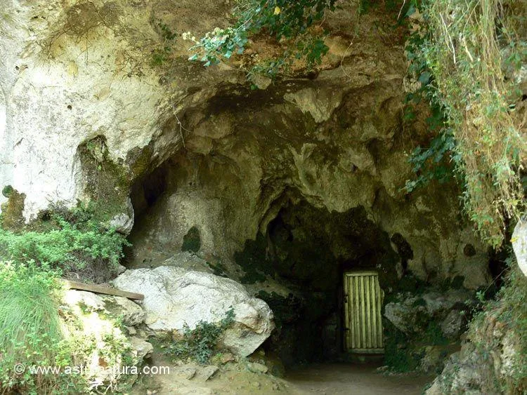 Cueva de El Buxu