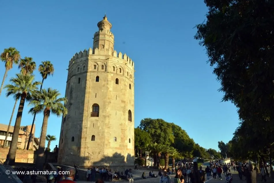 Torre del Oro de Sevilla