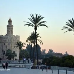 Torre del Oro de SevillaX 9