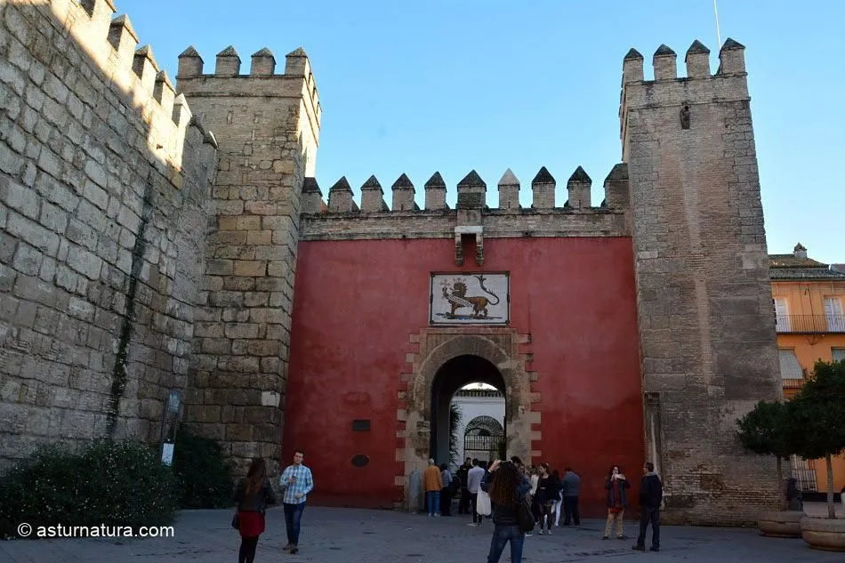 Puerta del León