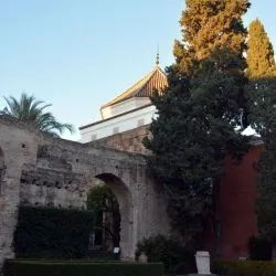 Real Alcázar de Sevilla 105