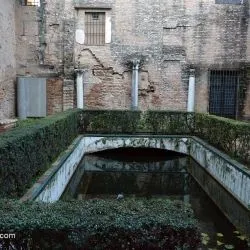 Real Alcázar de Sevilla 33