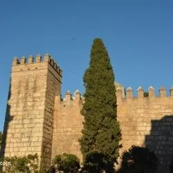 Real Alcázar de Sevilla 5