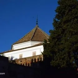 Real Alcázar de Sevilla 53