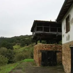 Pumarada de Belmonte