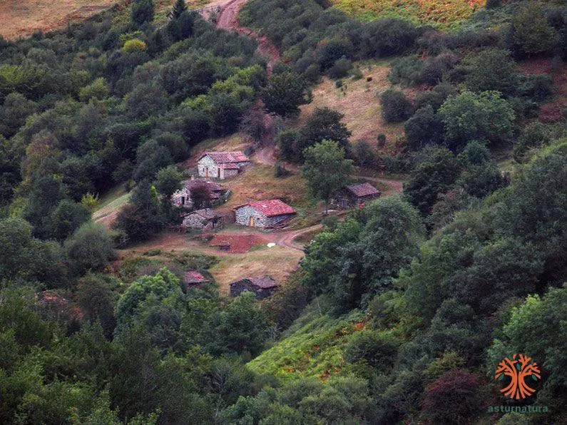 Braña de Valmuertu