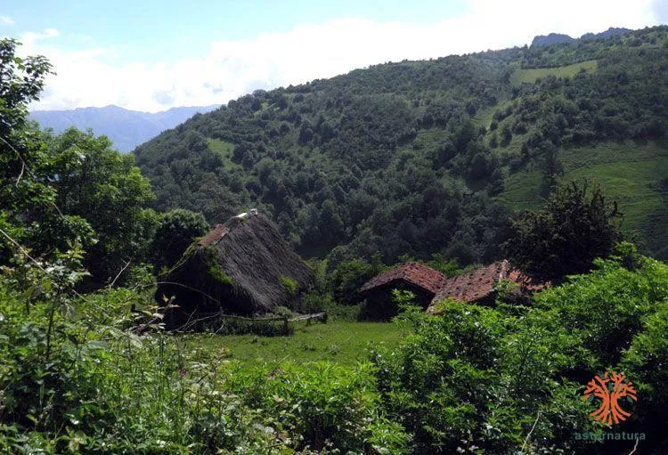 Braña de Tuiza