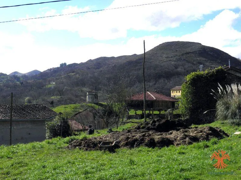 Vigaña de Grado