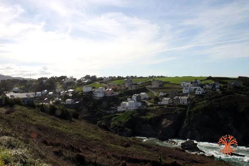 Ortiguera de Coaña