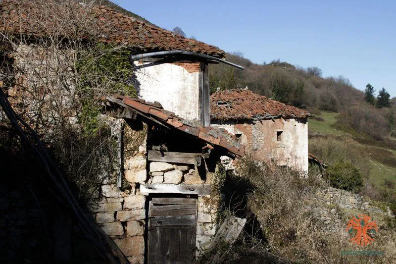 Santo Adriano del Monte