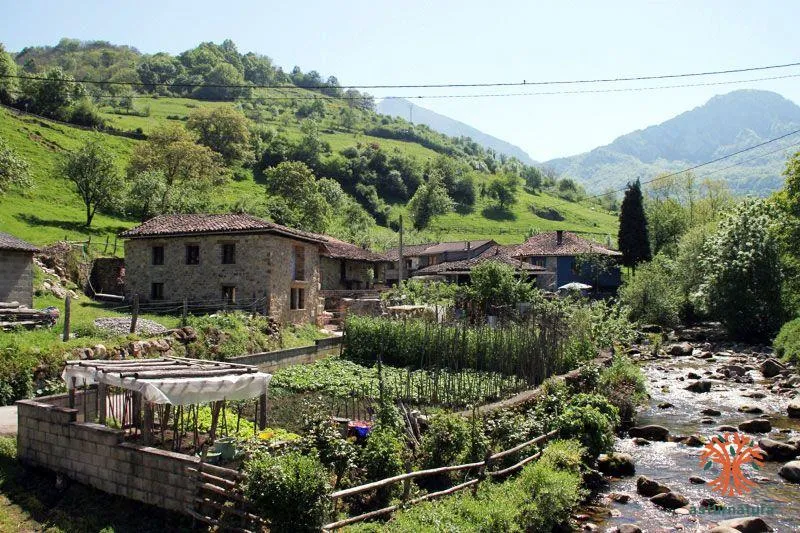 San Salvador de Alesga