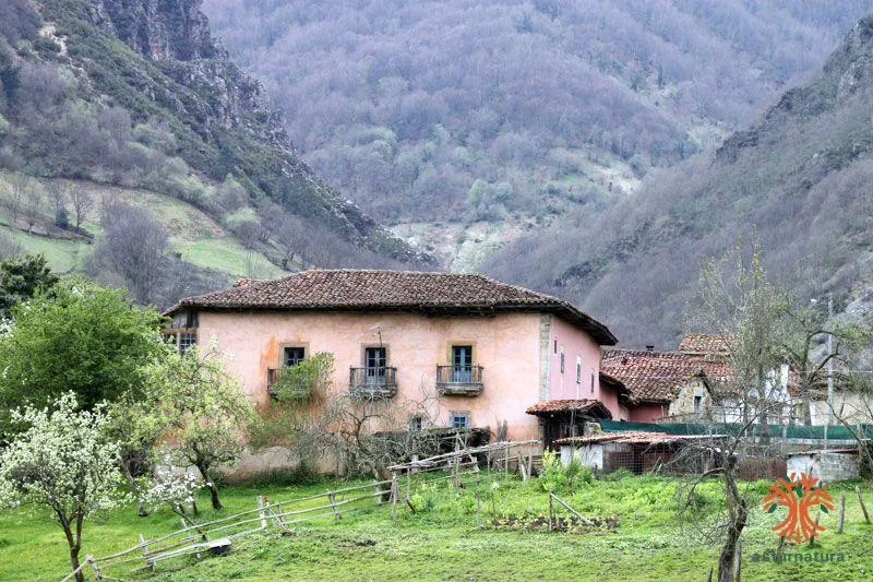 Coañana