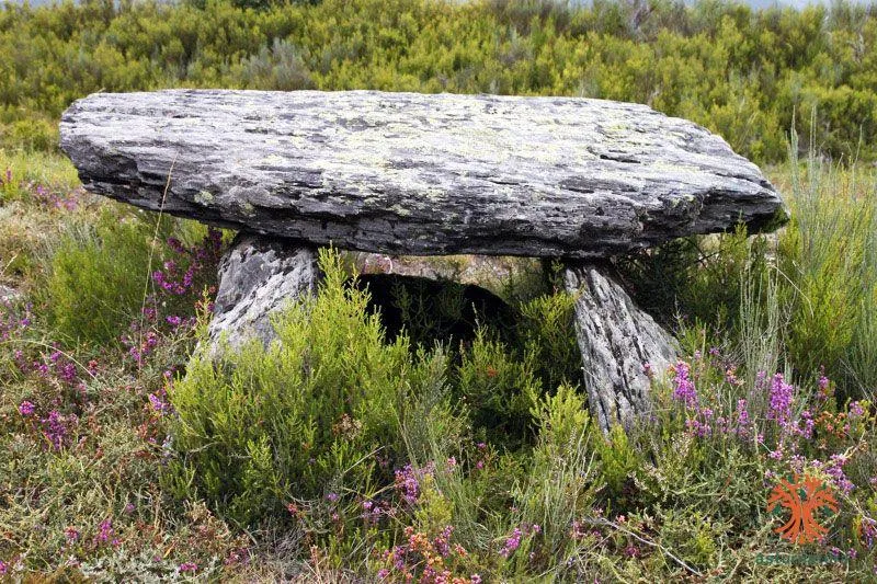 Dolmen de Pradias