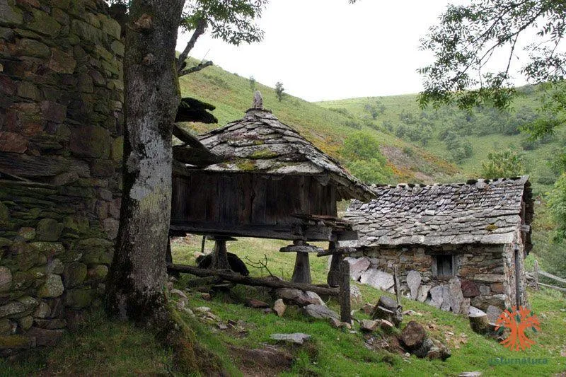 Braña de La Viña