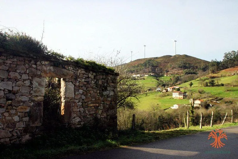 Cogollo de Las Regueras