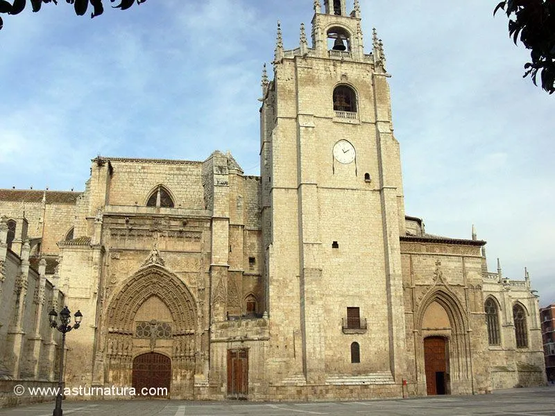 Catedral de Palencia