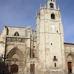 Catedral de San Antolin de Palencia X 12