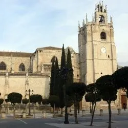 Catedral de San Antolin de PalenciaI 2