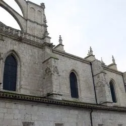 Catedral de San Antolin de Palencia XXVI 28