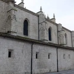 Catedral de San Antolin de Palencia XXIX 29