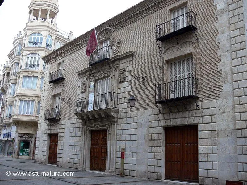 Palacio de los Aguado Pardo de Palencia