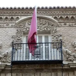 Palacio de los Aguado Pardo 4