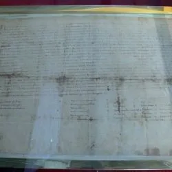 Carta de Arras del Cid 156