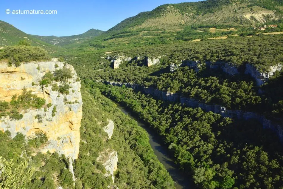 Parque Natural Hoces del Alto Ebro y Rudrón