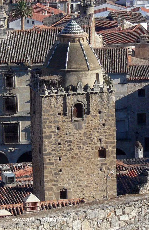 Torre del Alfiler de Trujillo