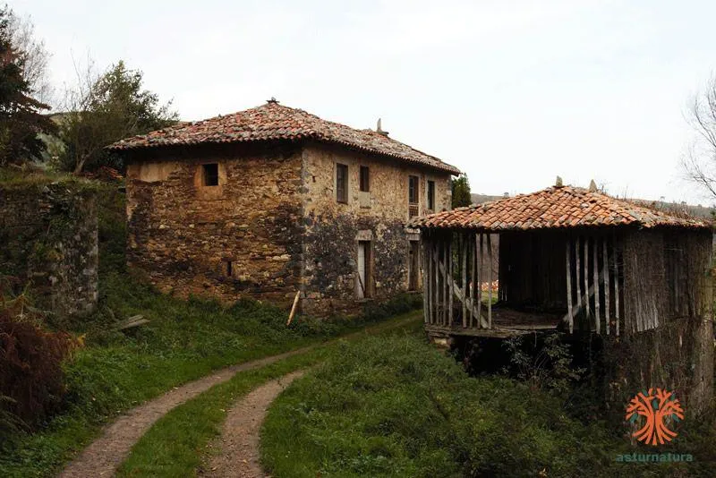 Braña de Folgueirúa