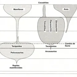 Origen y evolución de los reptiles y dinosaurios