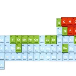 Bioelementos y biomoléculas inorgánicas