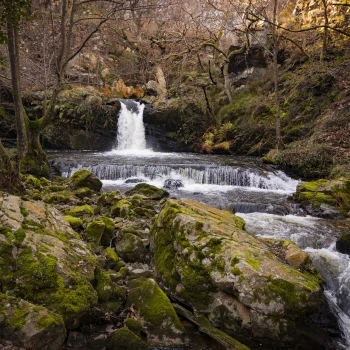 Cascada La Regueirina